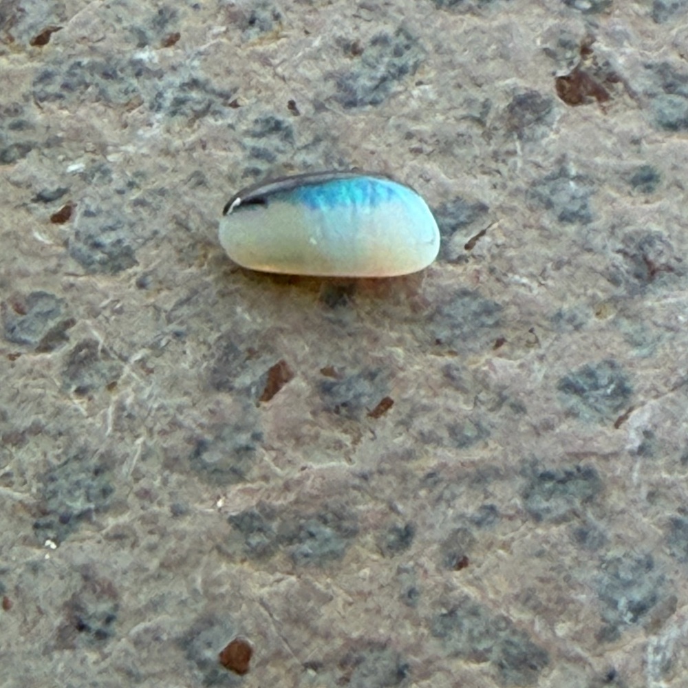 Boulder Opal Blue and White loose Stone .82 carats